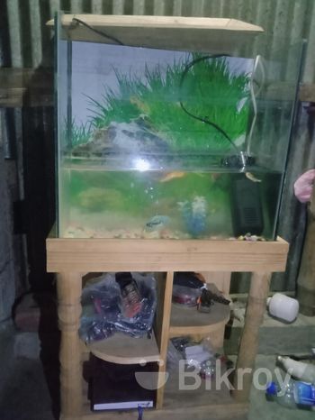 ব্যাটারি চালিত ফুড ভ্যান বিক্রয় করা হবে।